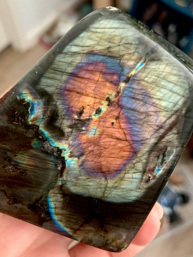 Rare Rainbow Labradorite Freeform