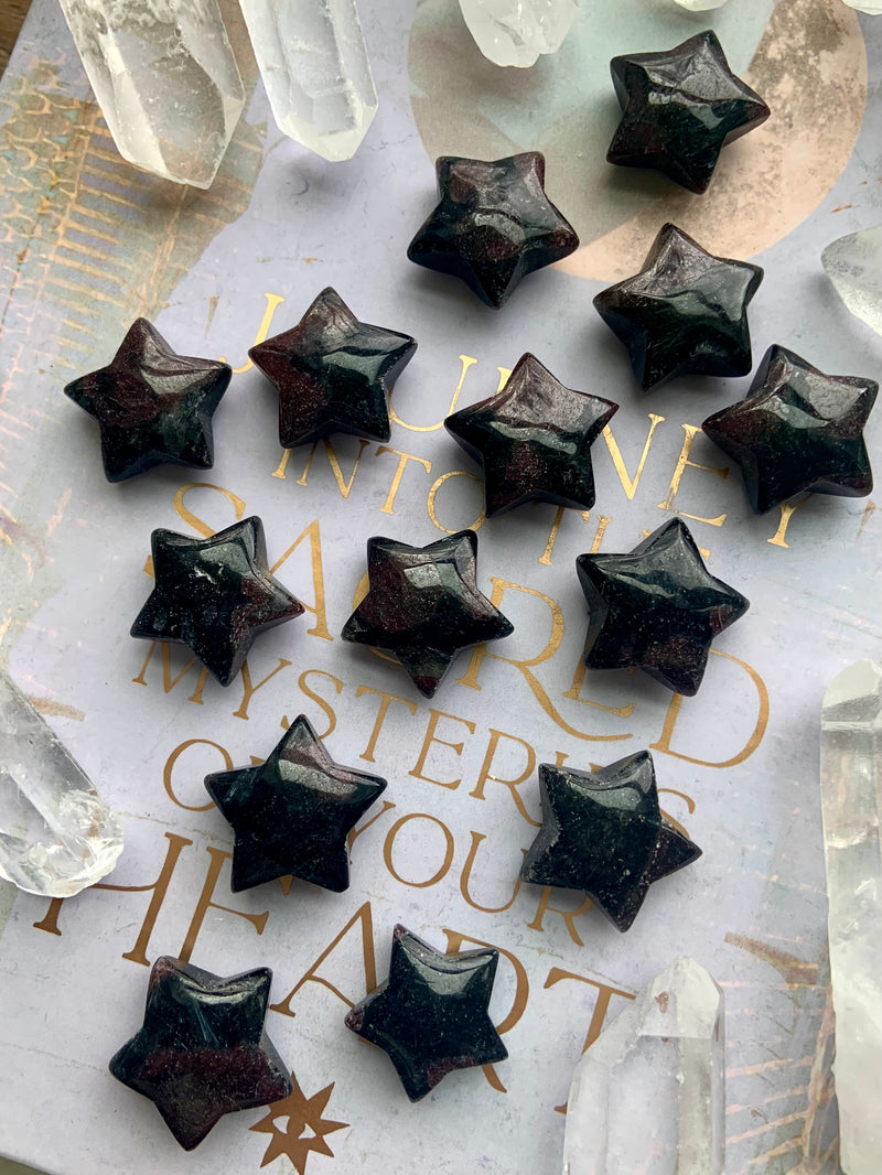Garnet Astrophyllite Stars
