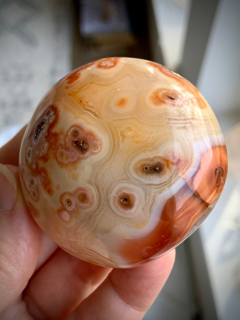 Rare Orbicular Carnelian Palmstone