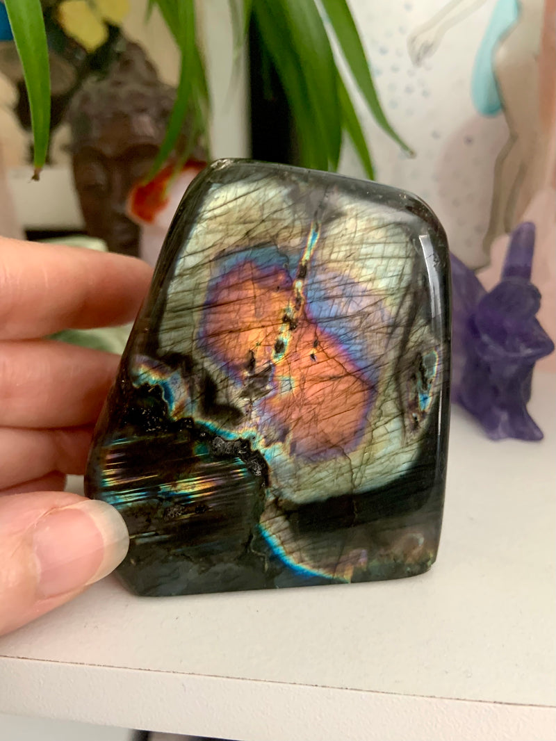 Rare Rainbow Labradorite Freeform