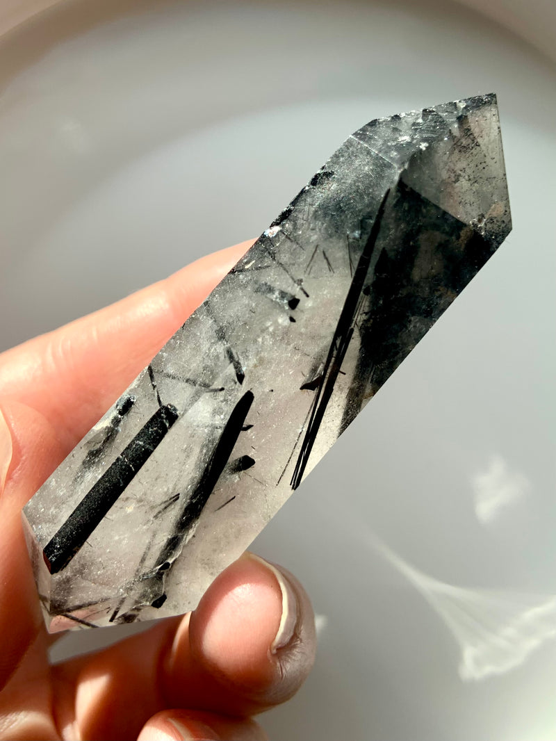 Dramatic Black Tourmaline in Quartz DT