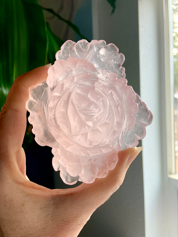 One of a kind Rose Quartz Crystal Flower Carving carved from high quality translucent pink, rose quartz crystal from Mozambique held up to let the light shine through.