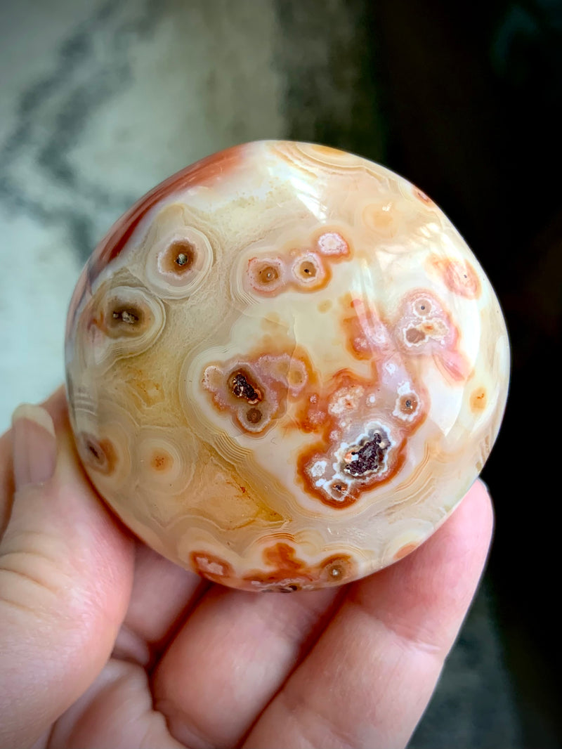 Rare Orbicular Carnelian Palmstone