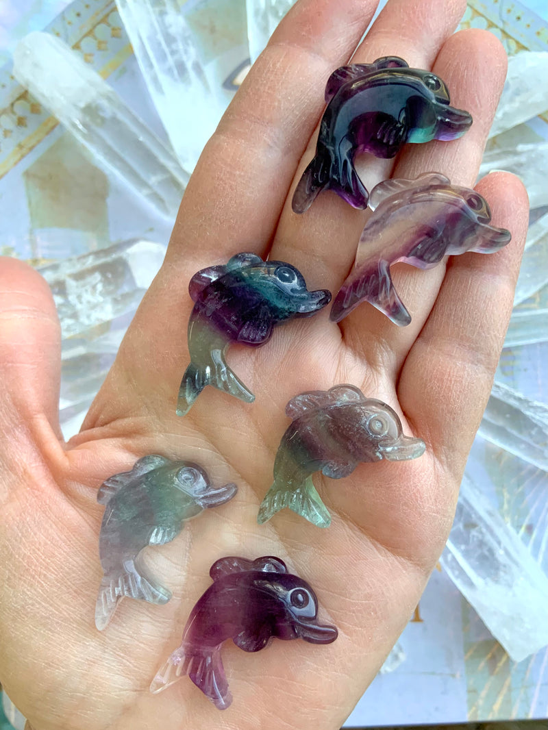 Mini Fluorite Crystal Dolphins