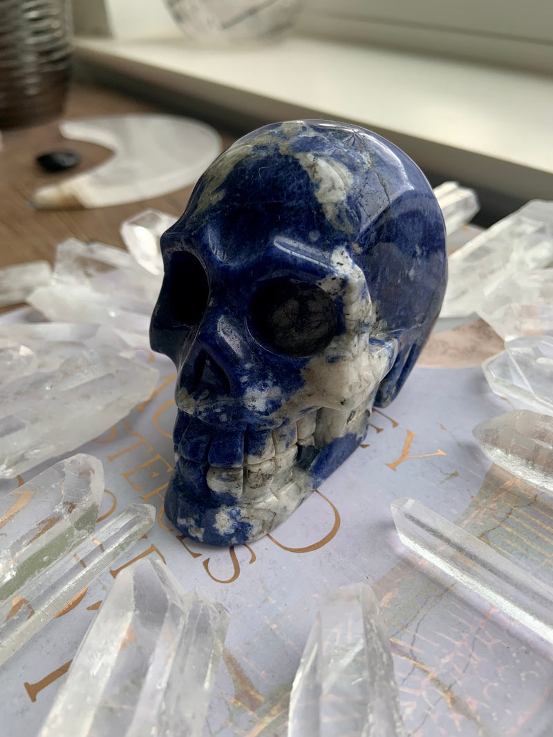 Blue Sodalite Skull