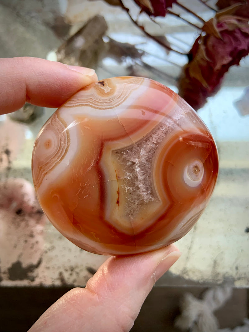 Rare Orbicular Carnelian Palmstone