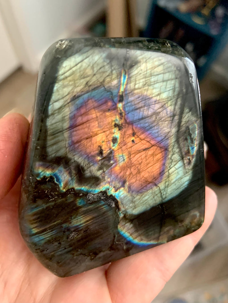 Rare Rainbow Labradorite Freeform