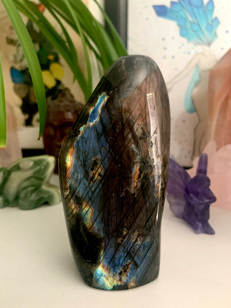 Blue + Orange Flash Labradorite Freeform