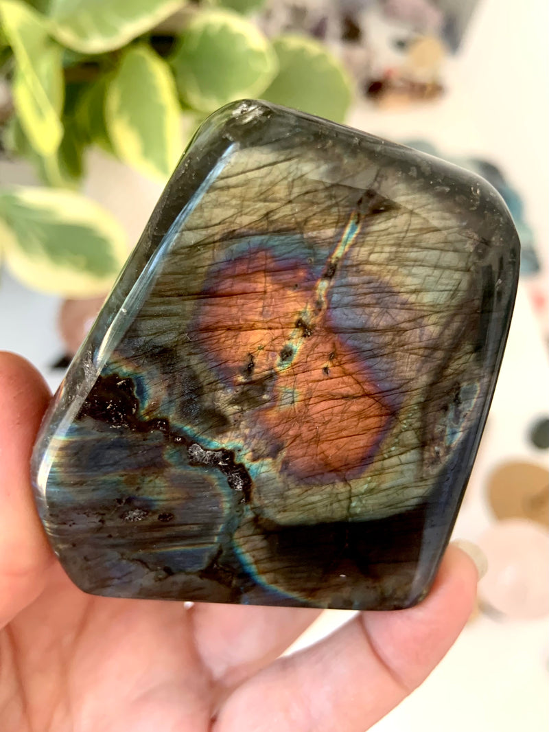 Rare Rainbow Labradorite Freeform