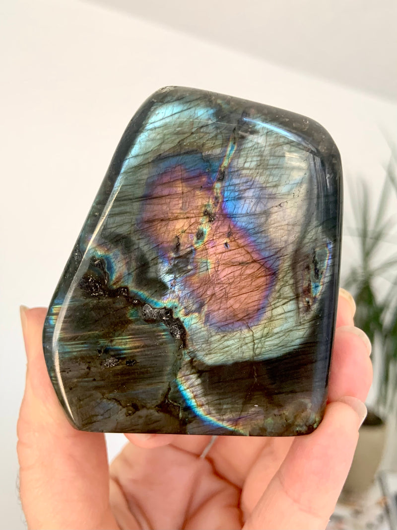 Rare Rainbow Labradorite Freeform