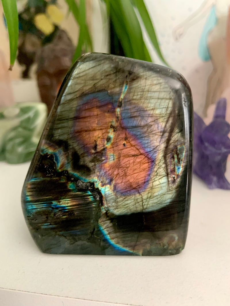 Rare Rainbow Labradorite Freeform