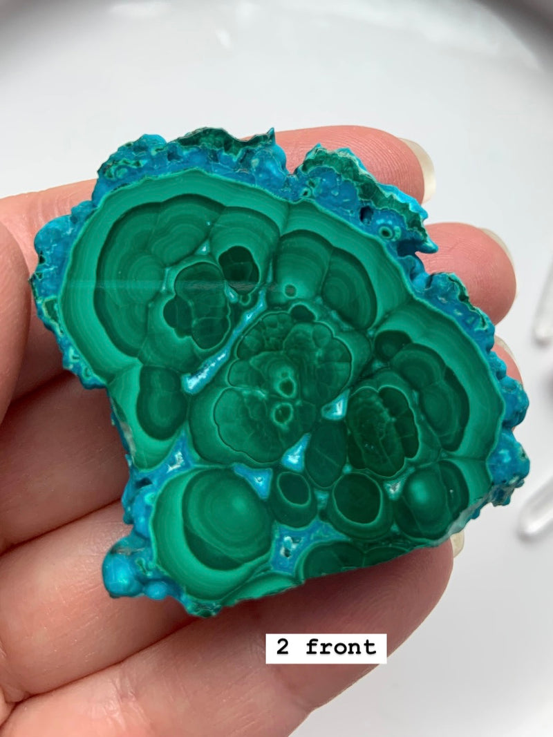 Part-Polished Malachite Chrysocolla Clusters