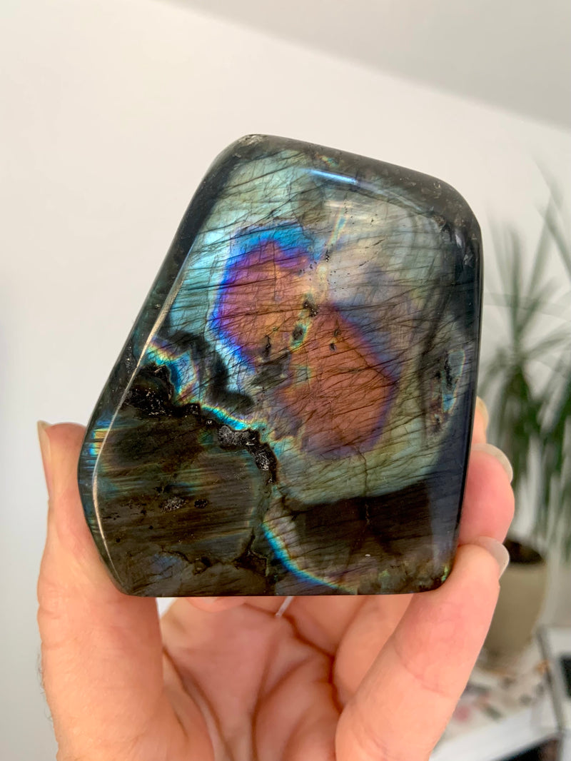 Rare Rainbow Labradorite Freeform with bullseye pattern. Polished with stunning colors, this labradorite crystal makes a beautiful addition to your crystal collection + a great gift for any crystal lover.