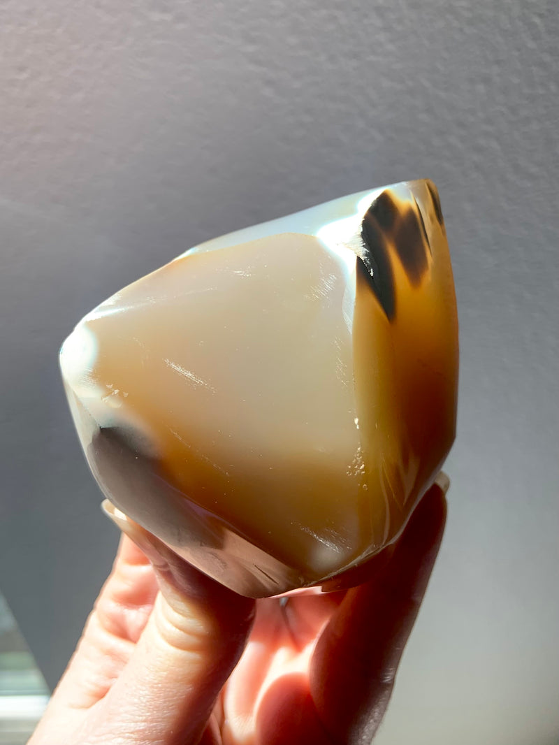 Orca Agate Carnelian Flame