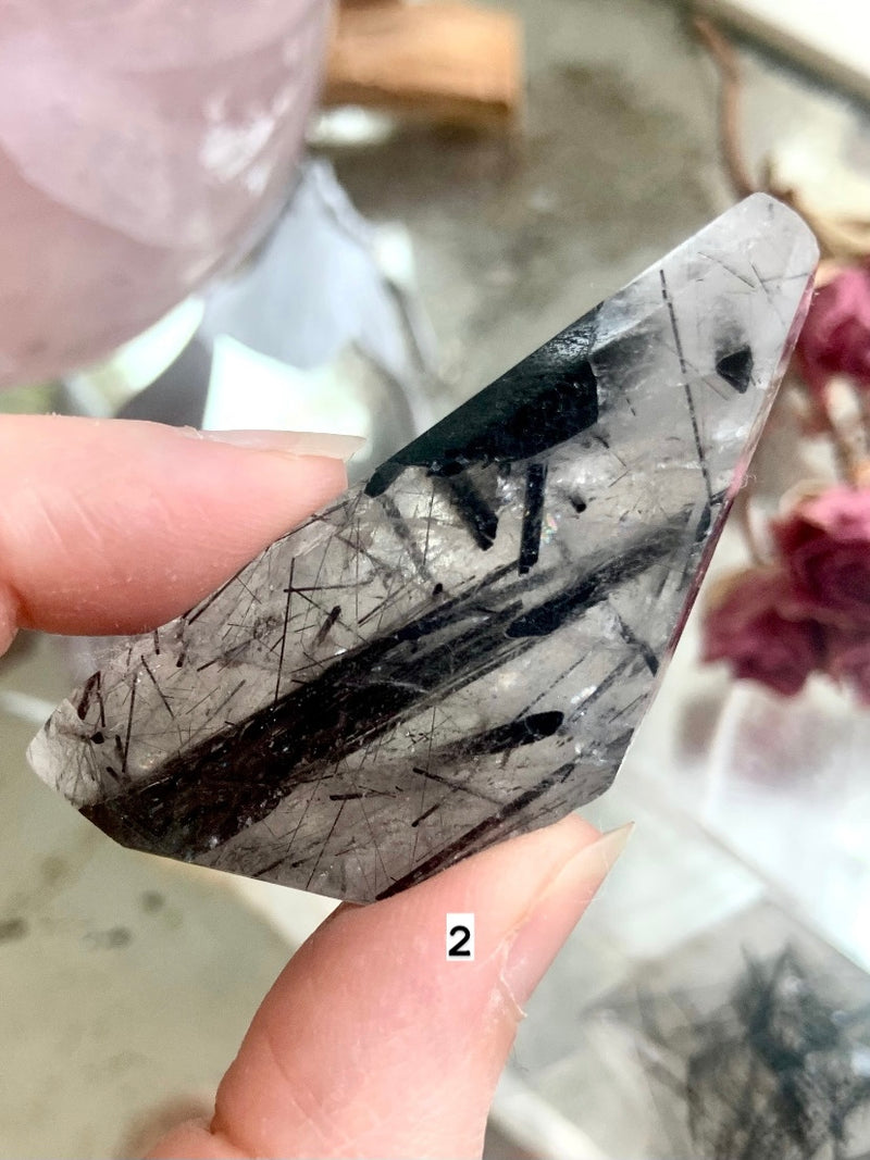 Black Tourmaline in Quartz Freeforms