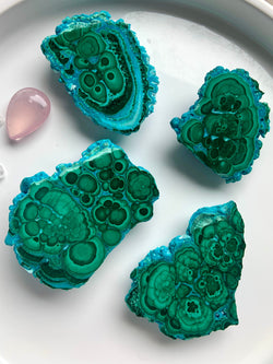 Part-Polished Botryoidal Malachite Chrysocolla Clusters, choose your favorite