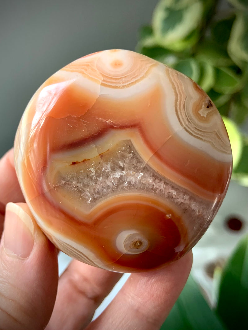 Rare Orbicular Carnelian Palmstone