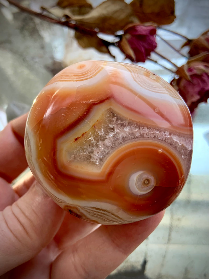 Rare Orbicular Carnelian Palmstone