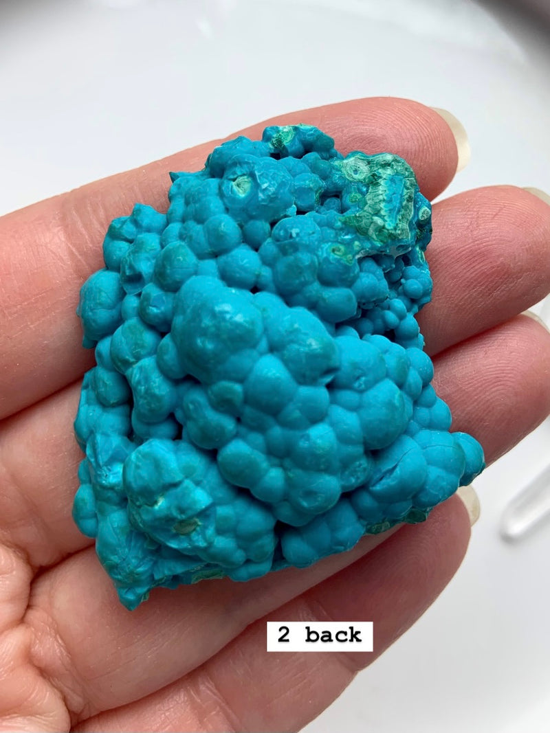 Part-Polished Malachite Chrysocolla Clusters