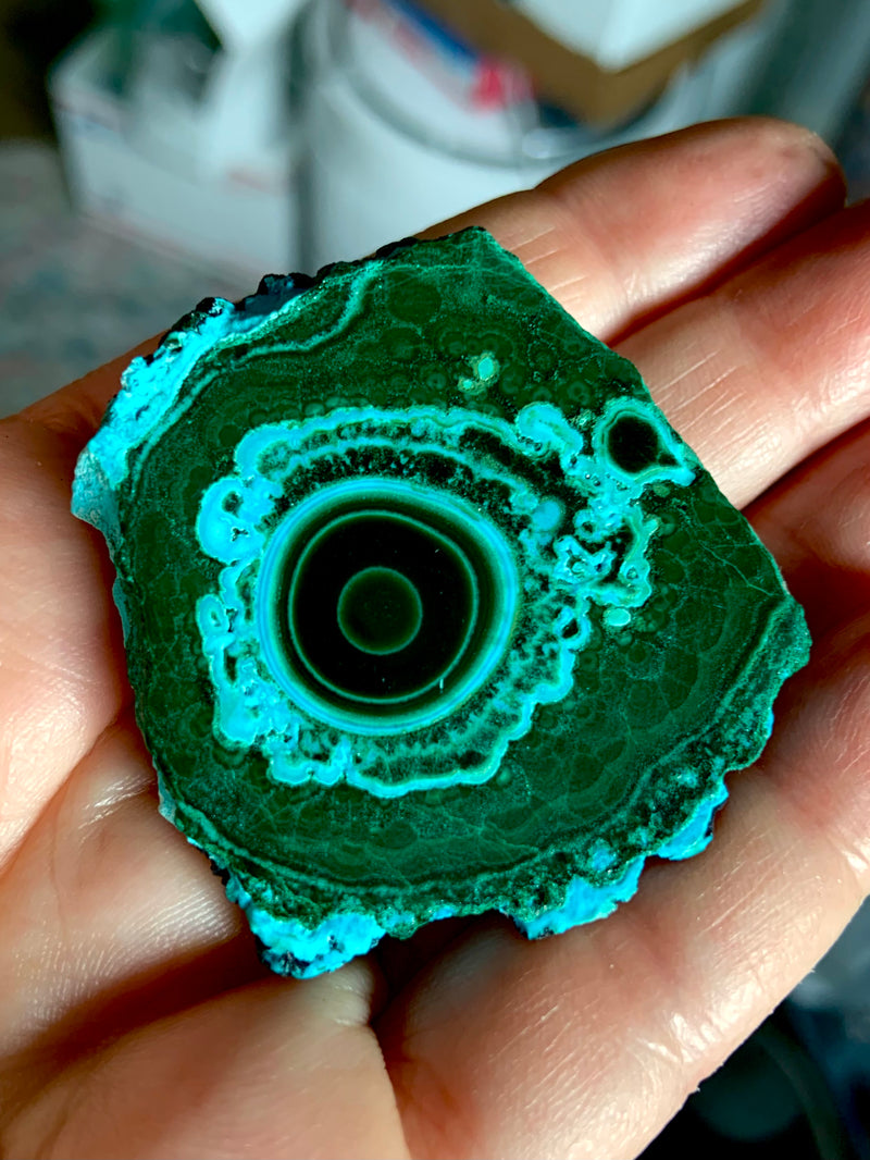 Rare Evil Eye Malachite Chrysocolla Cluster