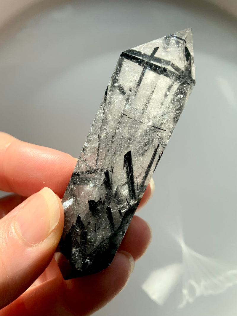 Dramatic Black Tourmaline in Quartz DT