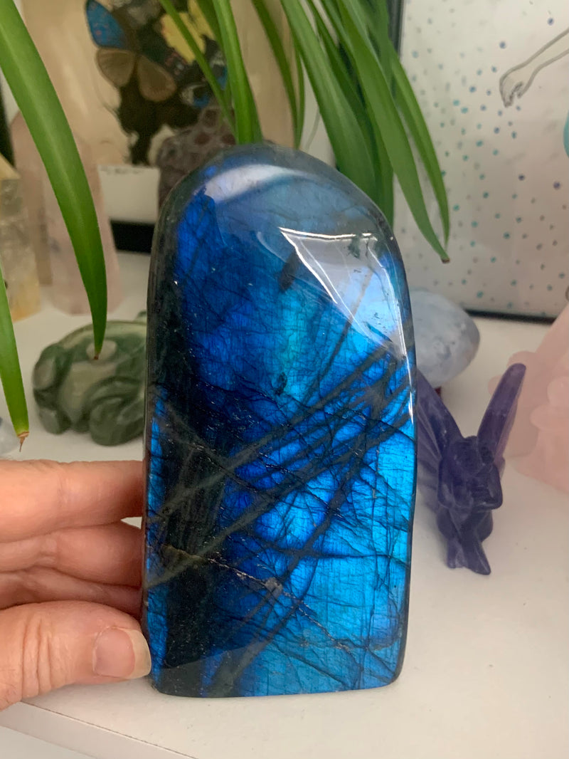 Blue Flash Labradorite Freeform Display Piece