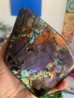 Rare Rainbow Labradorite Collector's Item! This stunning angular freeform shape flashes Orange + Purple with so many colors in between.