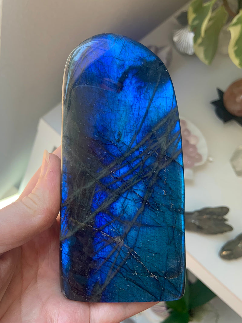 Blue Flash Labradorite Freeform Display Piece