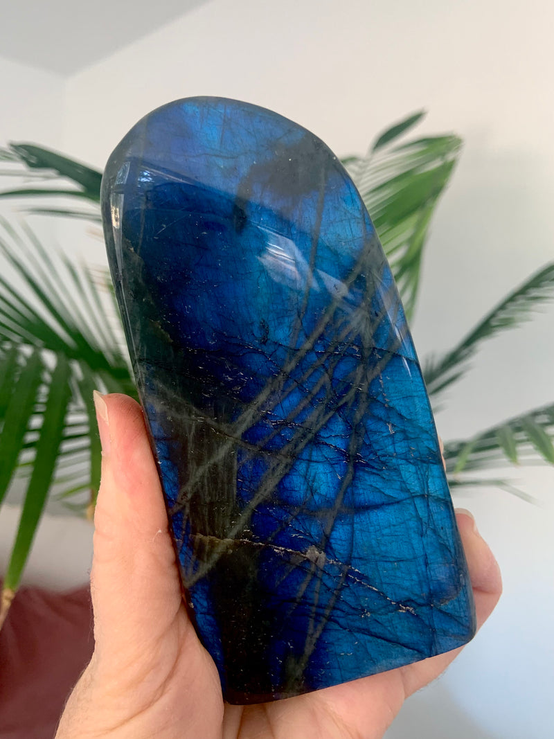 Blue Flash Labradorite Freeform Display Piece