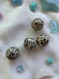 Dalmatian Jasper Mini Spheres
