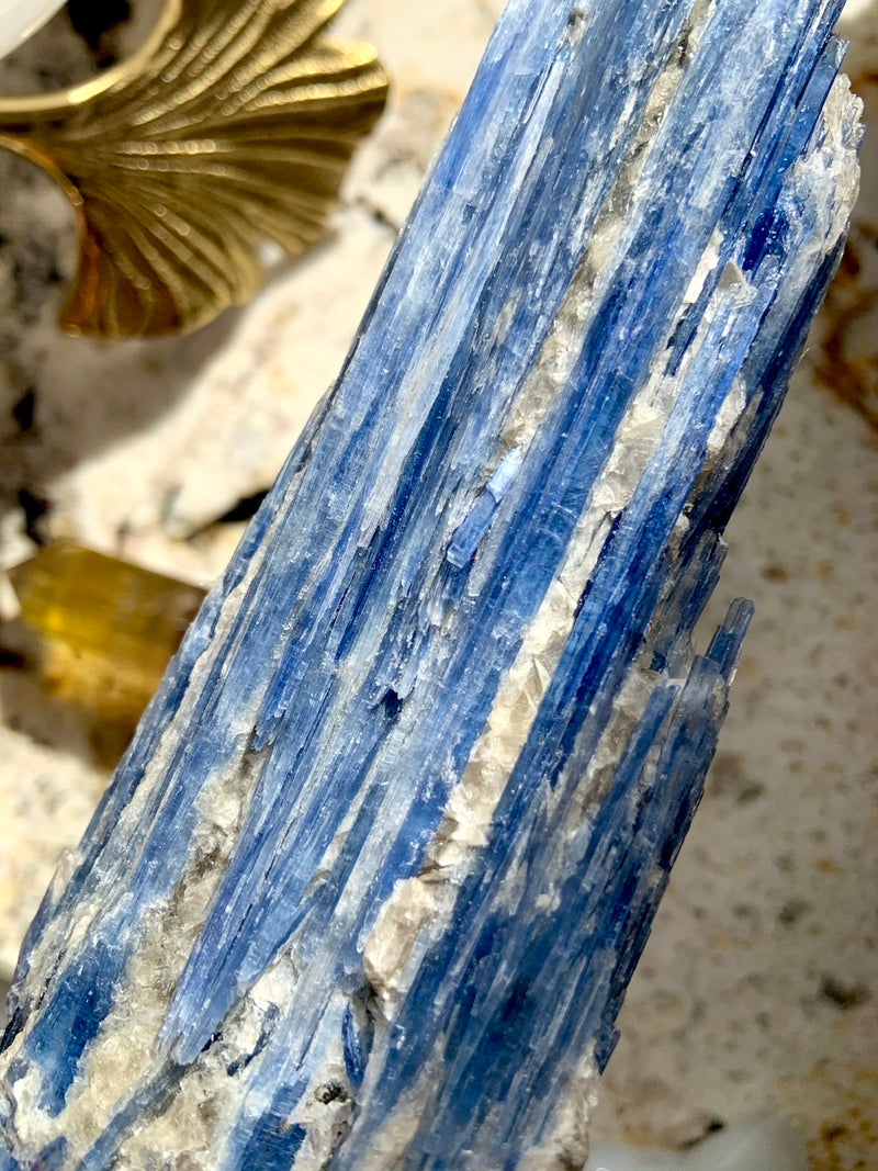 Exquisite Blue Kyanite Fan Specimen with Muscovite