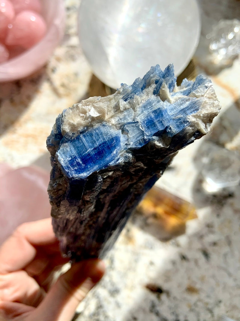 Exquisite Blue Kyanite Fan Specimen with Muscovite