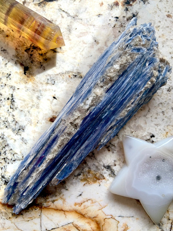 Exquisite Blue Kyanite Fan Specimen with Muscovite