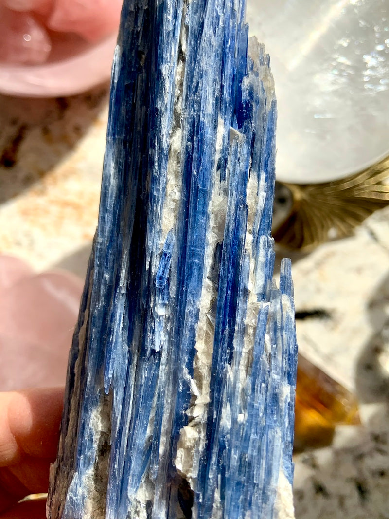 Exquisite Blue Kyanite Fan Specimen with Muscovite