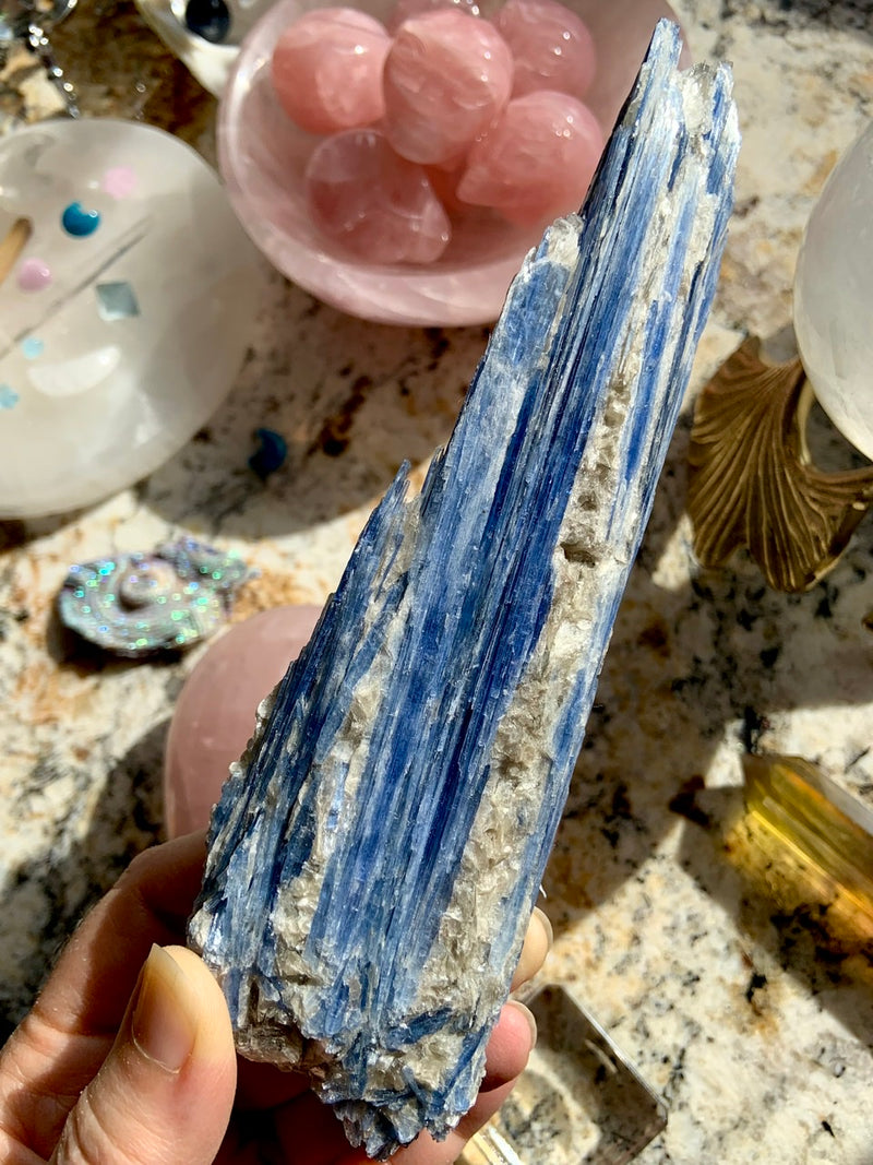 Exquisite Blue Kyanite Fan Specimen with Muscovite