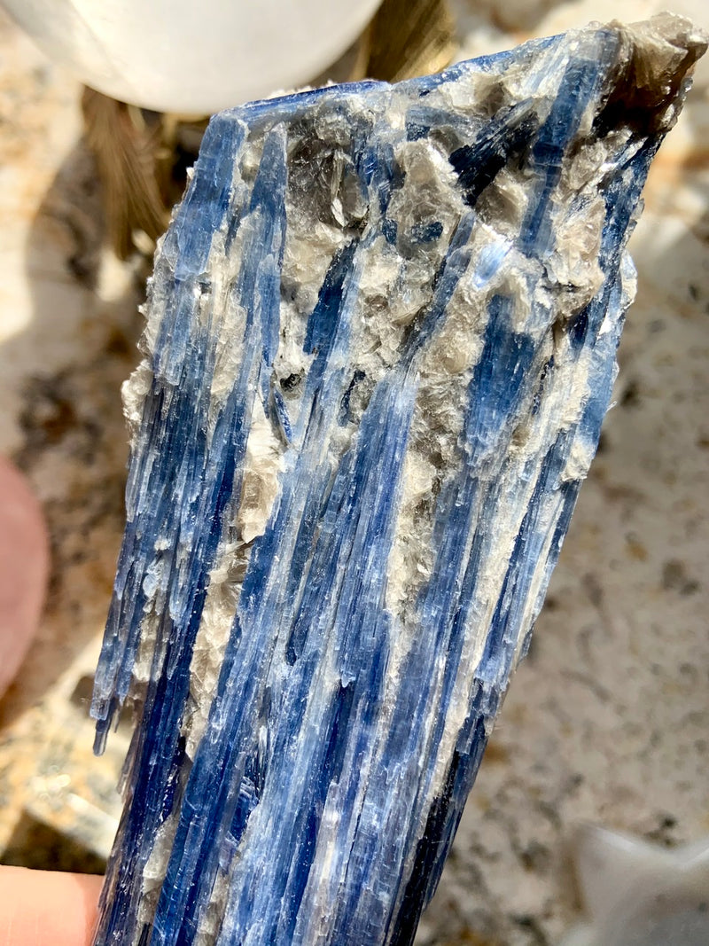 Exquisite Blue Kyanite Fan Specimen with Muscovite