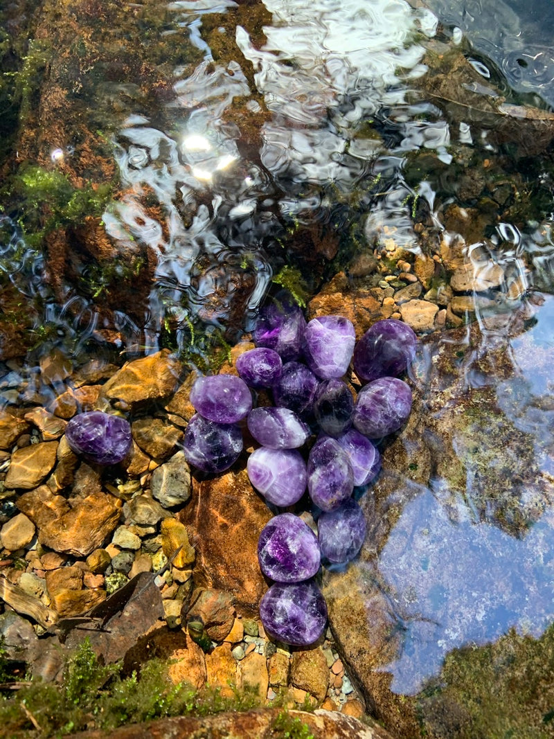 Purple Dream Amethyst ~ Cleansed in a Reiki Water Blessing Ceremony on Mt Shasta