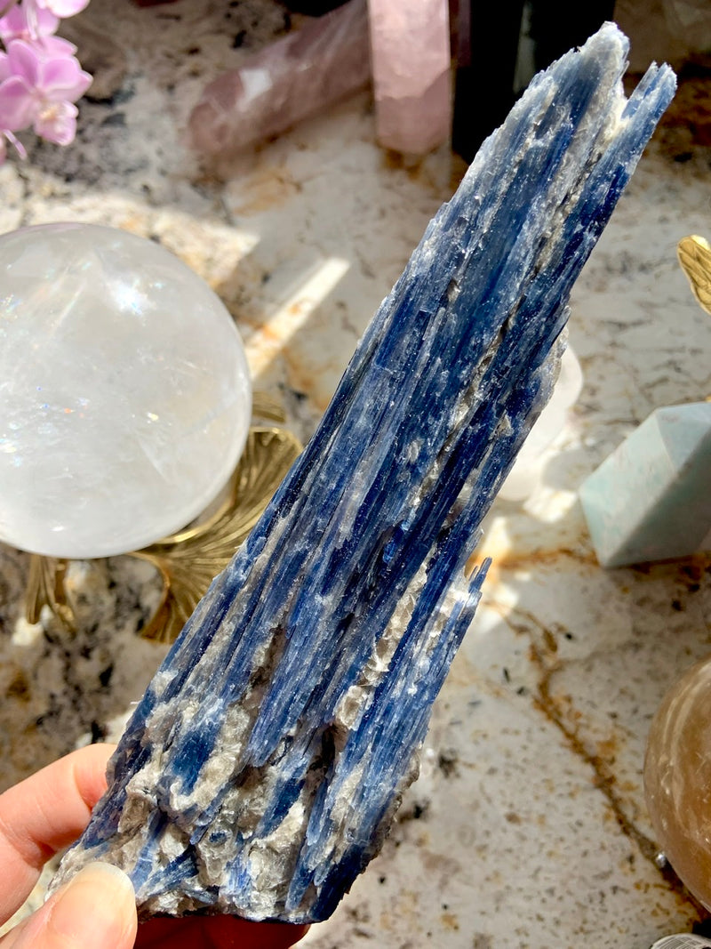 Exquisite Blue Kyanite Fan Specimen with Muscovite