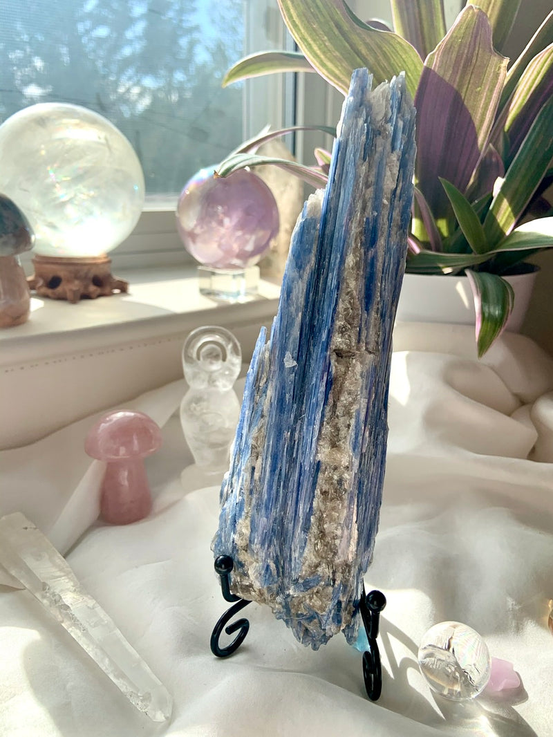 Exquisite Blue Kyanite Fan Specimen with Muscovite