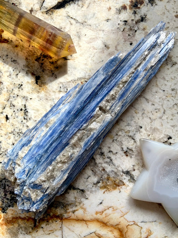 Exquisite Blue Kyanite Fan Specimen with Muscovite