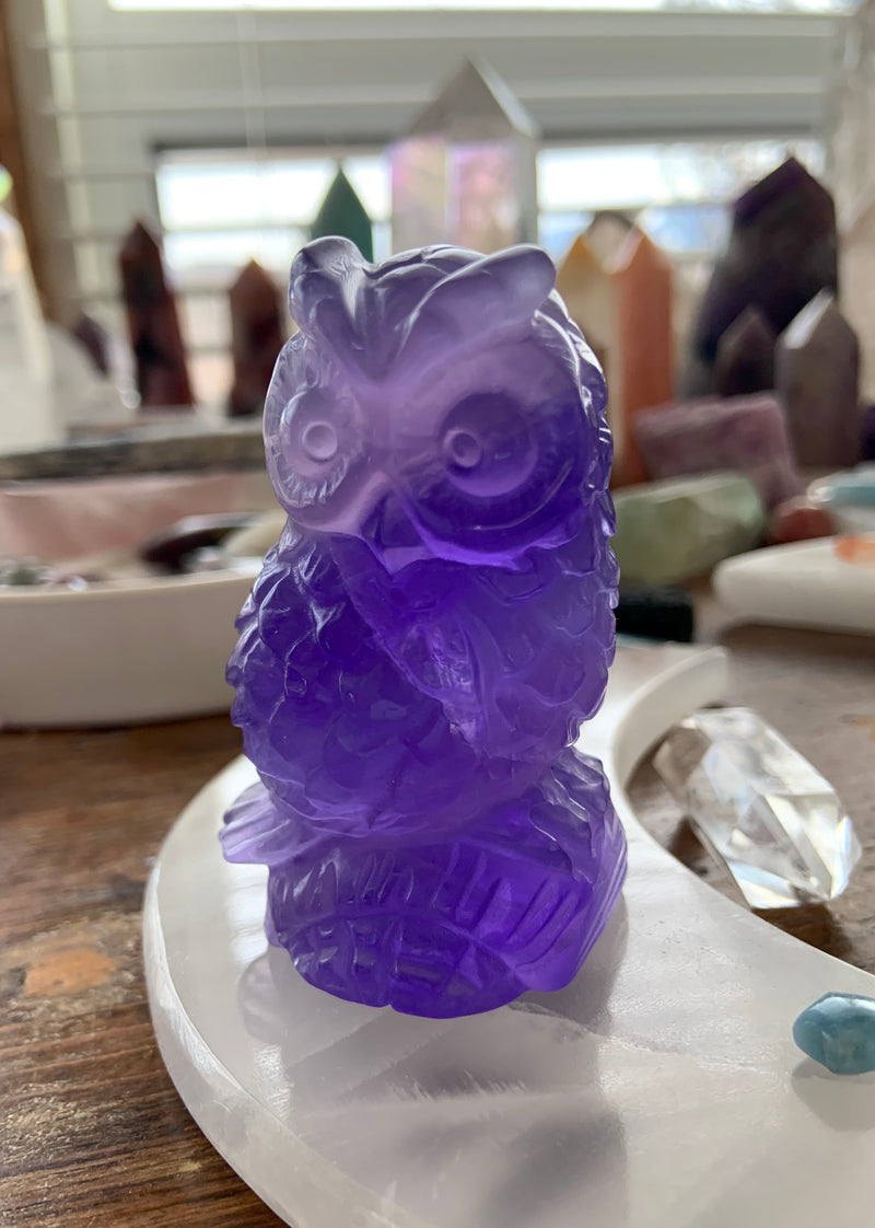 Purple Fluorite Owl