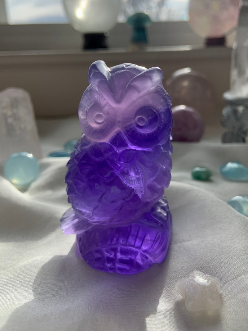 Purple Fluorite Owl
